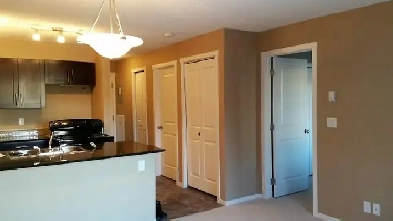 Beautiful 1 Bedroom   Den / 1 Bath South Apartment Image# 10