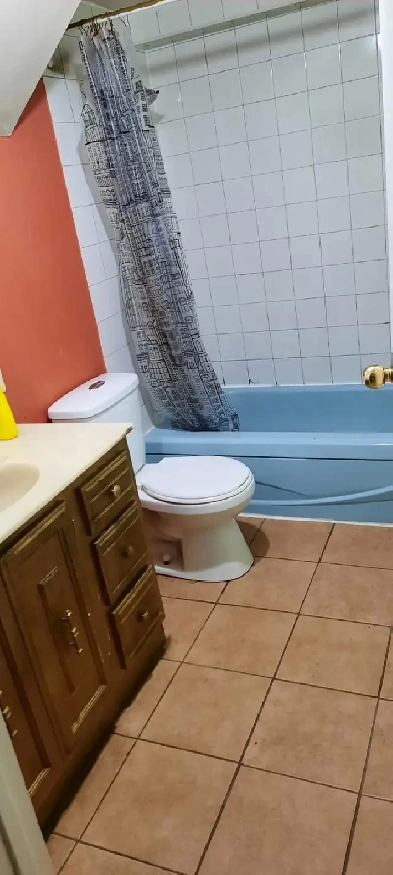 Basement for rent near Albion mall and humber college Image# 4