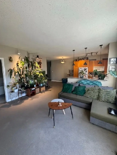 Condo for Rent - Just off Whyte Ave - Cat friendly! Image# 7