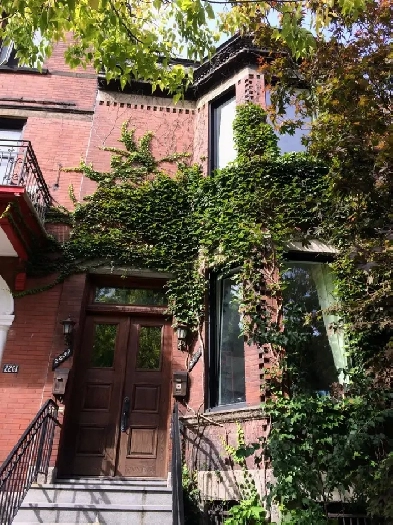 Beautiful Big Ground Floor Duplex Unit for rent Image# 3