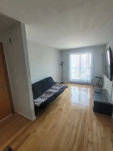 4 1/2 Renover 2 chambres H1G4G6 Image# 8