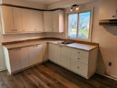 145 Rue René-Philippe Longueuil, QC J4R 2J9 Image# 4