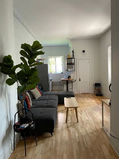 Cosy 3 1/2 downtown (1 bedroom, unfurnished) - Cession de bail Image# 17