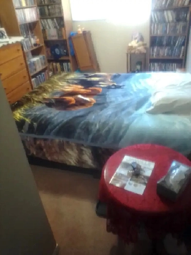 One bedroom for rent including utilities Image# 1