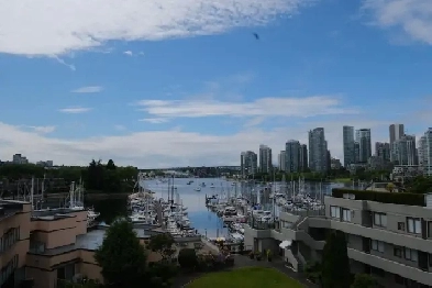 Studio Apartment - Water Views, Next to Seawall Image# 4