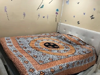 BASEMENT PRIVATE ROOM FOR RENT –FEMALE ONLY Image# 3