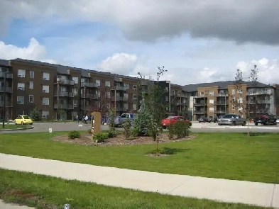 2 Bed 2 Bath Corner Condo in Aurora Estates Available June 3rd! Image# 10
