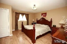 3 BED ROOM DETACHED HOUSE IN BRAMPTON FOR RENT Image# 1