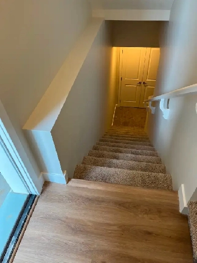 2 Bed 1 Bath Legal basement suite in Cornerbrook, Calgary NE Image# 6