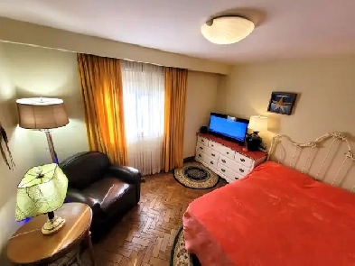 Avail Sun! Deluxe Double Room near York U, Humber College, YYZ Image# 6