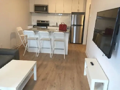 One bedroom with Ensuite 4 pcs bathroom for rent near UOIT Image# 6