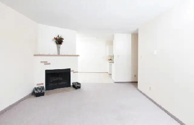Apartment for Rent: 3 Bedroom - Tamaron Square Image# 7