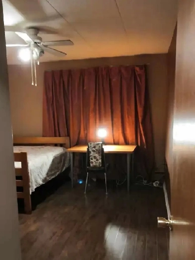 Northgate mall nice room in the shared Apt for rent immediately Image# 4