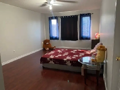 Masterbedroom for rent Image# 2