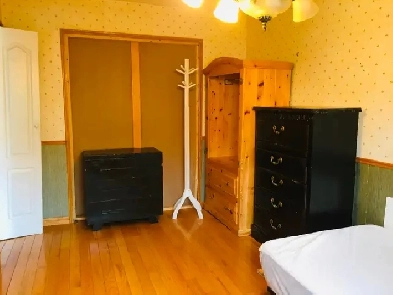 One First-floor bedroom for rent only for female at Finch/Warden Image# 4