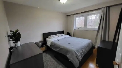 3 Rooms for Rent Image# 1