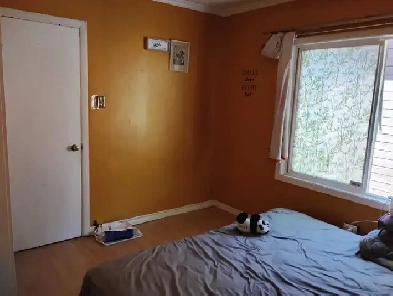 Shared Room in Fraser for 400  utilities (Females Only) Image# 1