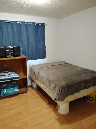 affordable room for rent available immediately Image# 1