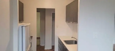 One bedroom apartment with balcony Image# 4
