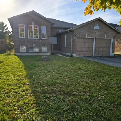 House for rent Image# 3