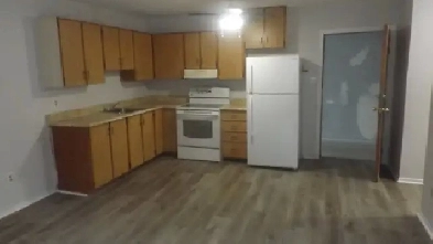 1 BR Apartment for rent Image# 6
