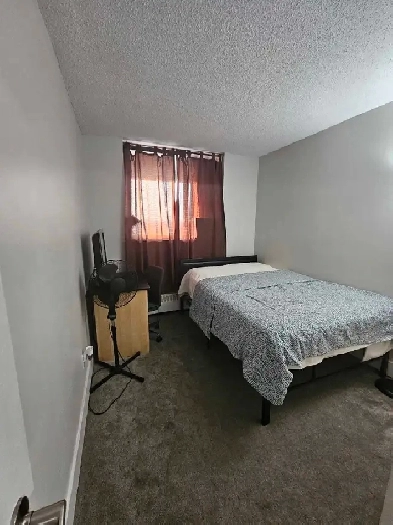 1  Bed Room for rent Image# 4