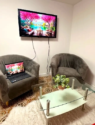 1 Bedroom in Brand New 2-Bedroom Basement | Females only Image# 12