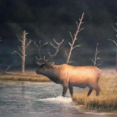 I need housing Image# 1