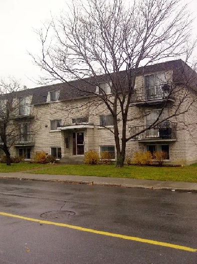 Longueuil grand 4 1/2 Image# 2