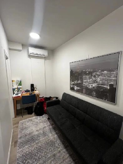 One bedroom summer sublet in the Annex Image# 3