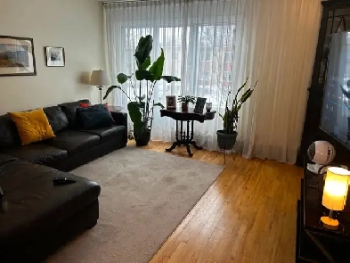 Charming 5½ Apartment in the Heart of Saint-Laurent Image# 5