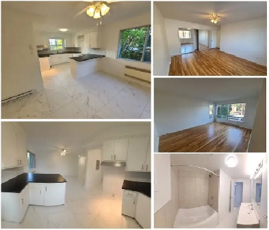 Large renovated 4-bedrooms in Chomedey  Virtual visit Image# 1