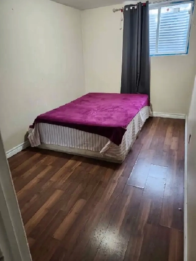 1 BR Basement in Malton available from June 1st Image# 4