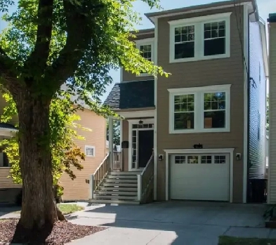 Large Modern House with 3 Bedroom in Downtown for rent Image# 6