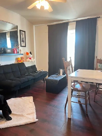 All Utilities Included-16 Ave & 36 St. SE Walk to All Amenities Image# 6
