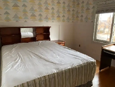 single room for rent in Linden Woods Image# 1