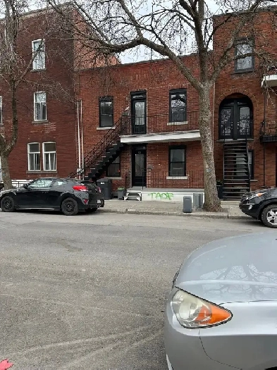 Top floor duplex with one bedroom plus Office Image# 2