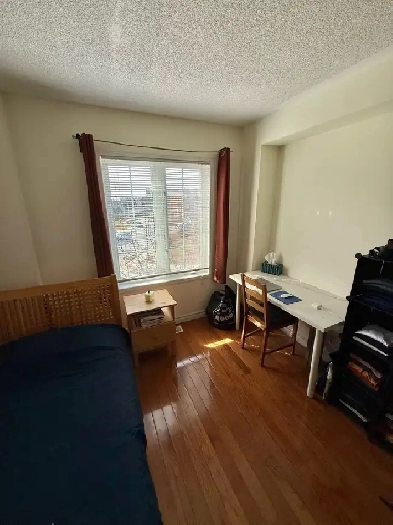 Neat Bright 2nd flr Room Private Bath Parking @York University Image# 7