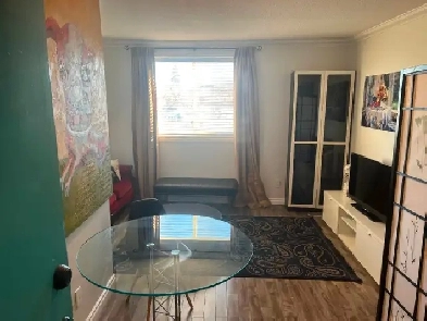 CHIC, CLASSY, FULLY-FURNISHED, ONE-BEDROOM FLAT IN CENTRAL YEG Image# 1