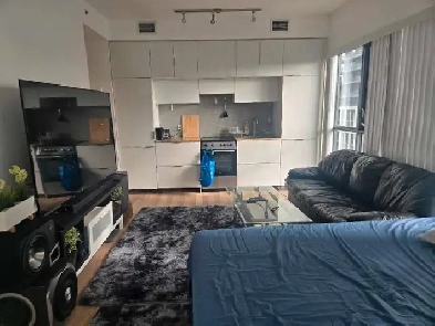 spacious 2 bedroom apartment in luxury downtown condo Image# 5