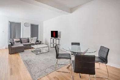 Spacieux 2 cac TOUT MEUBLÉ et terrasse privée! Image# 9