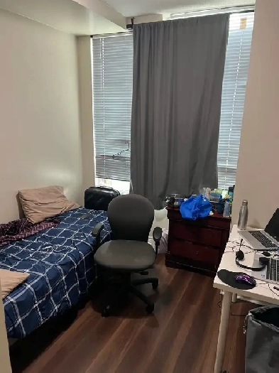 Roommate Pvt Room in Condo Sq 1 $1000 Image# 1