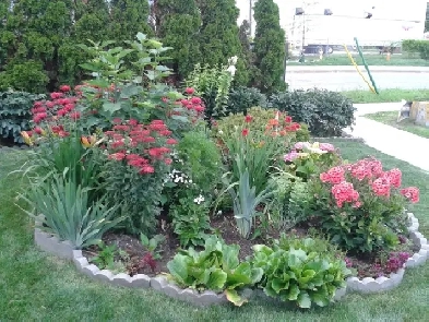 ROOM-MATE to share 1280 sq ft  furnished 2 bedroom apt Image# 1