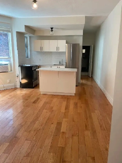 Welcome to the Chocolate House!  1 1 bedroom apartment for rent Image# 4