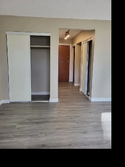 Spacious Bachelor Suite for Rent May 15th Image# 5