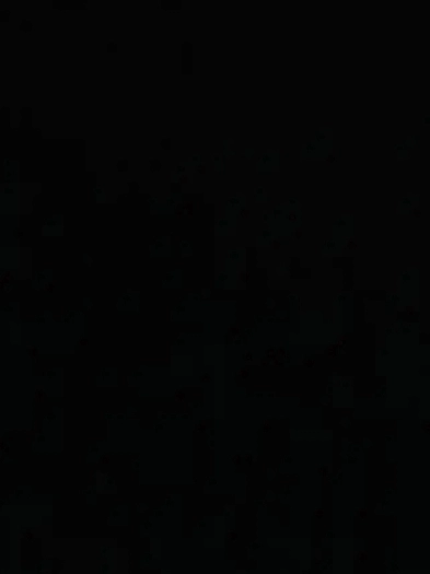 Appartement à louer Image# 1