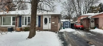 29 Burbank Place Batchelor/apartment for rent Image# 1