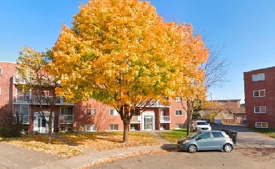 4 1/2 à louer, Longueuil Image# 6