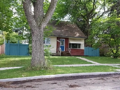 Room Rental. easy transit to University and Southgate Mall Image# 1