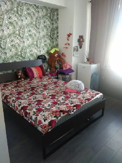 MASTER BEDROOM FOR RENT NEAR SHERIDAN COLLEGE FOR GIRLS ONLY. Image# 7